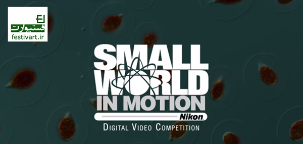 فراخوان مسابقه عکاسی میکروگرافی دنیای کوچک شرکت نیکون