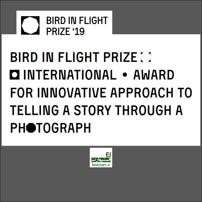 Bird in Flight Prize ’19: Unconventional Photographers Award