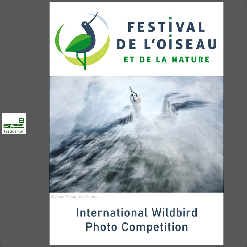 2020 International Wildbird Photo Competition