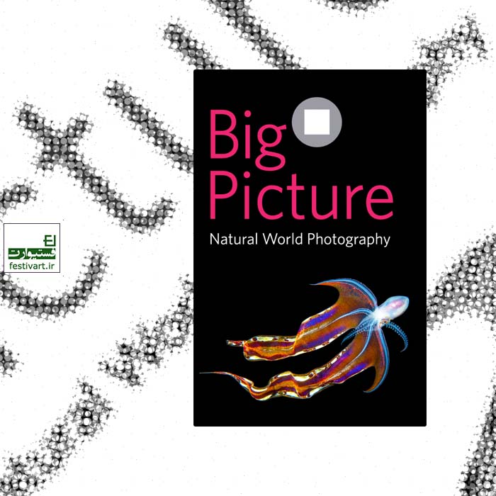 2020 BigPicture Natural World Photography Competition
