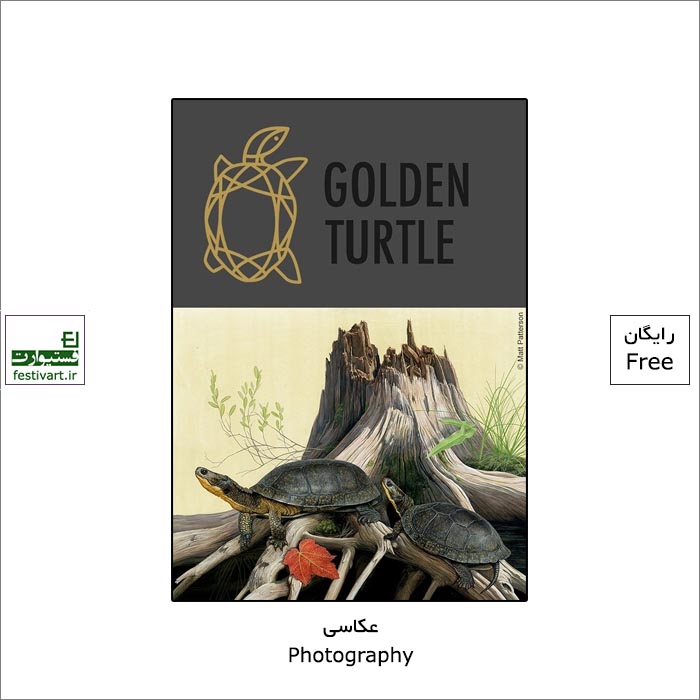 Golden Turtle Photo Contest 2021