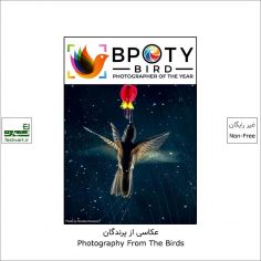 فراخوان رقابت بین المللی عکاسی پرنده BPOTY ۲۰۲۲